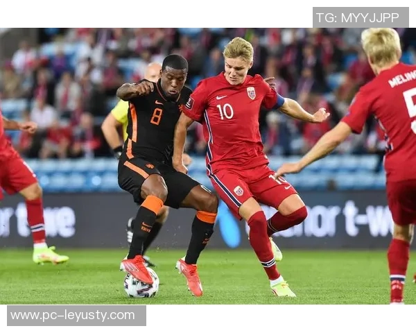 豹纹新发色引关注挪威后卫莱尔森世预赛惊艳亮相